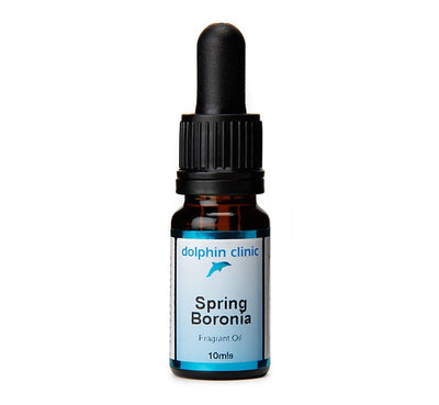 Spring Boronia Fragrant Oil - Apex Health