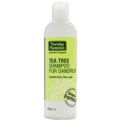 Tea Tree Shampoo for Dandruff - Apex Health